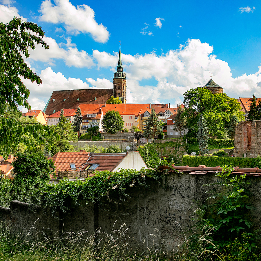 1000028-blick-auf-maria-und-marthakirche-3-2.jpg