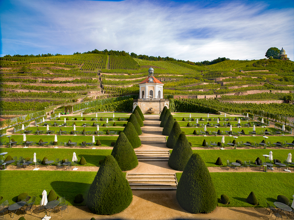 1000090-weingut-schloss-wackerbarth-4-3.jpg